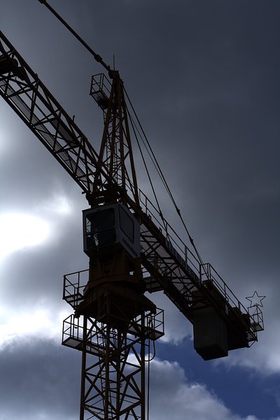 grue du matin