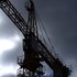 grue du matin
