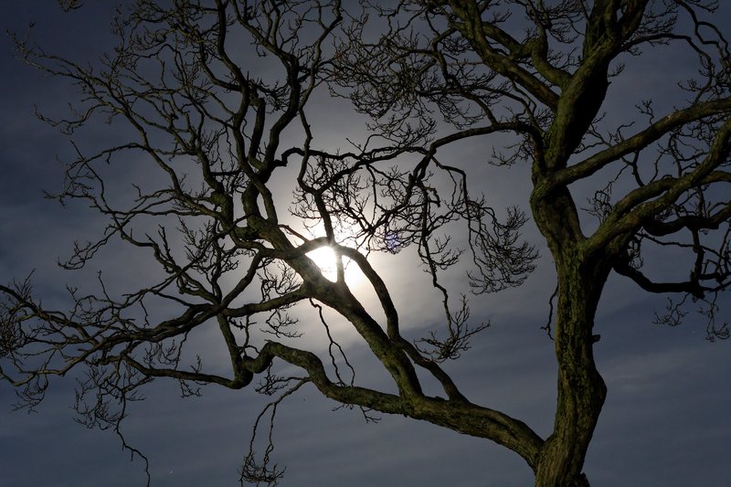 variation sur une pleine lune