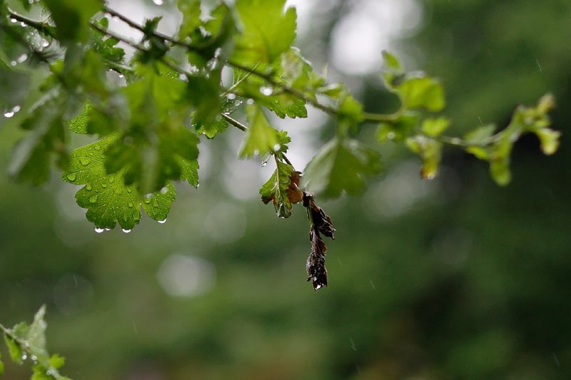 un samedi sous la pluie