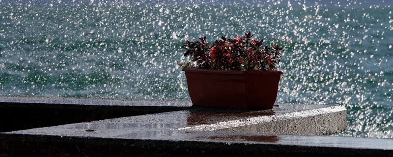 coup de vent sur le Léman