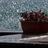 coup de vent sur le Léman