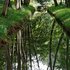 Les Grangettes
