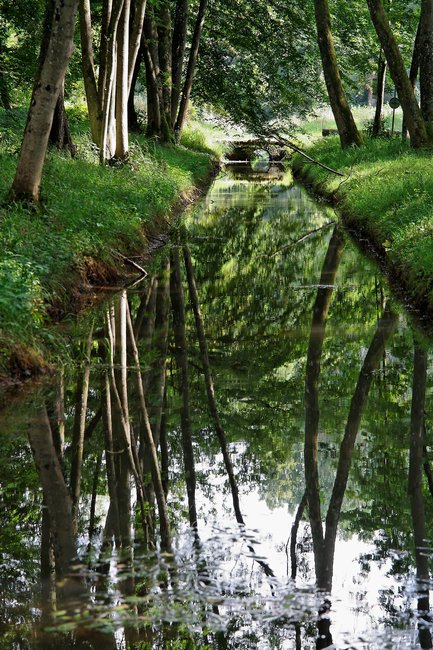 Les Grangettes