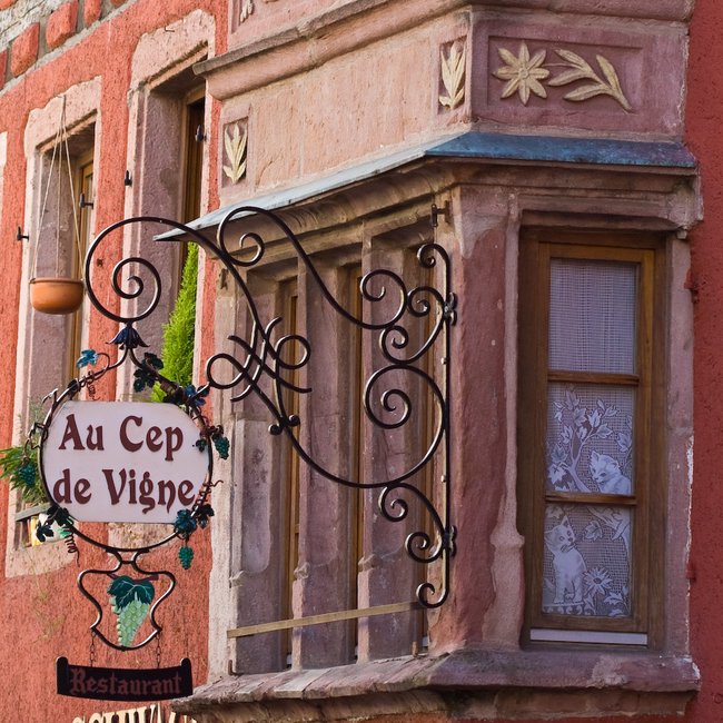 cep de vigne en façade