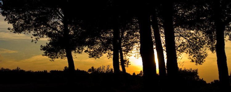 soleil couchant sur la Sainte-Victoire