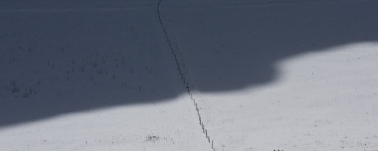 première neige