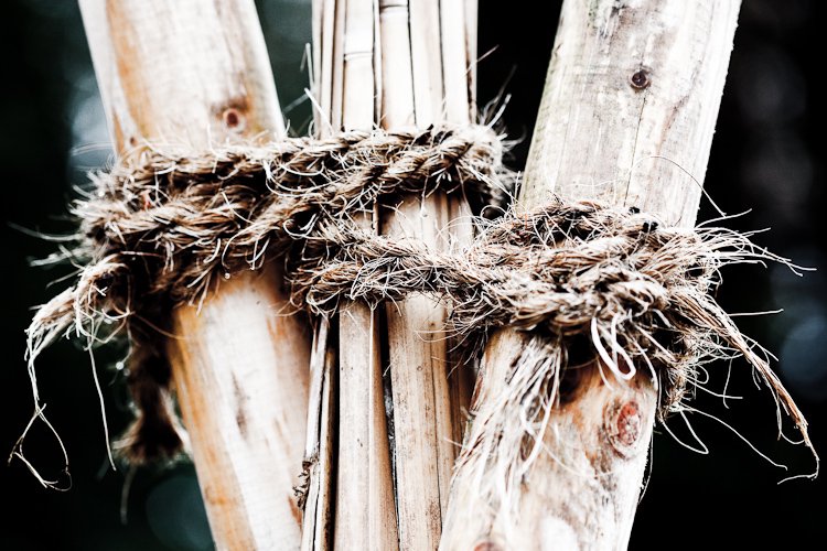 bondage horticole