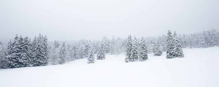 blanc dessus dessous