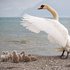 en famille à la plage