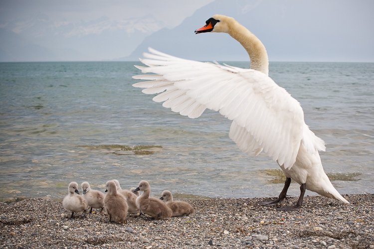 en famille à la plage