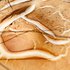 mycologie grecque