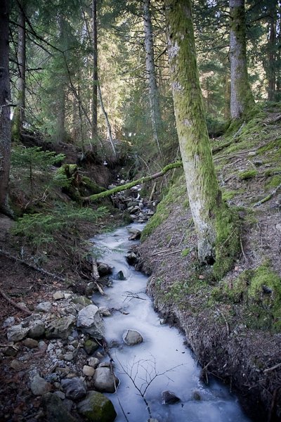 Et au milieu gèle une rivière...