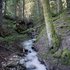 Et au milieu gèle une rivière...