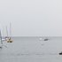 petit bateau