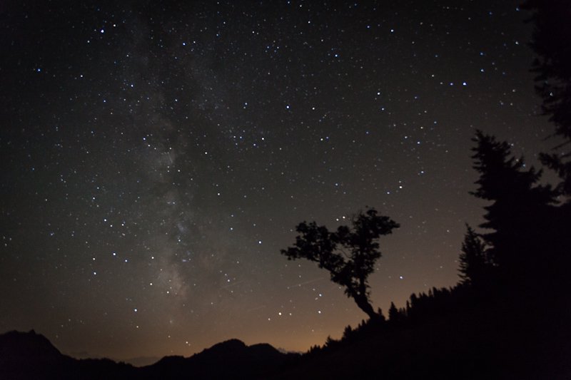 stars...
