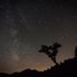 stars...